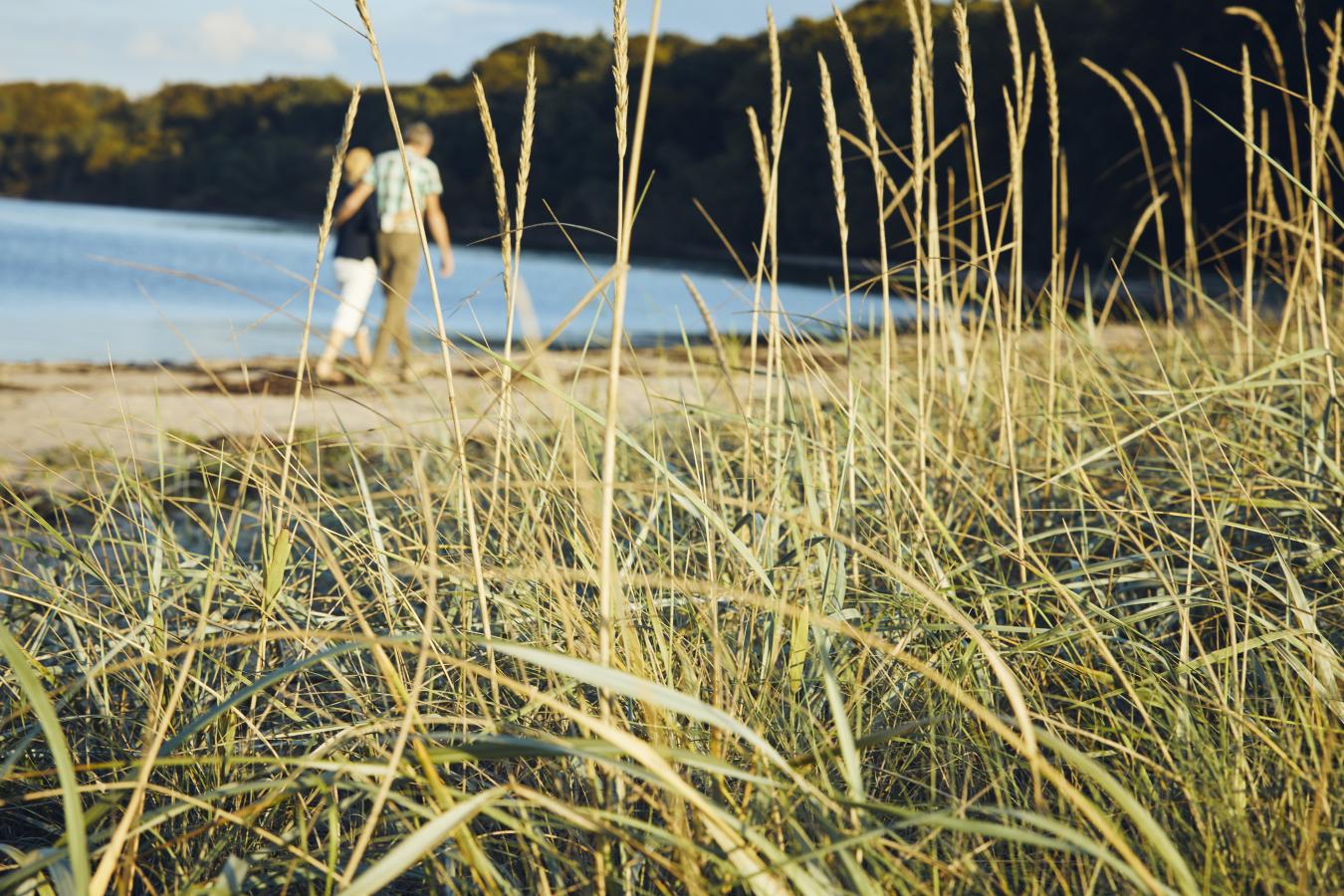 Ferie for to ved Fredericia