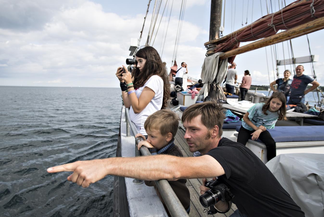 Hvalsafari på Lillebælt