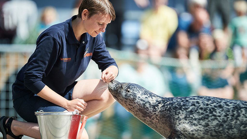 Fjord&Bælt i Kerteminde