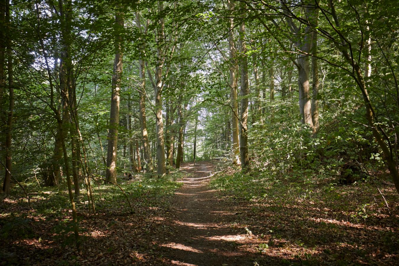 Forår ved Rands Fjord