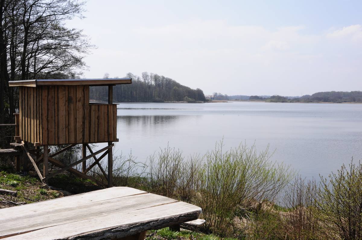 Fugletårnet ved Rands Fjord