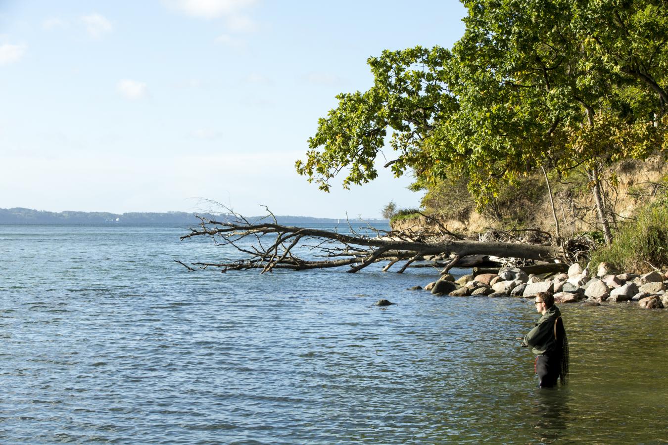 Lystfiskeri ved Trelde Næs
