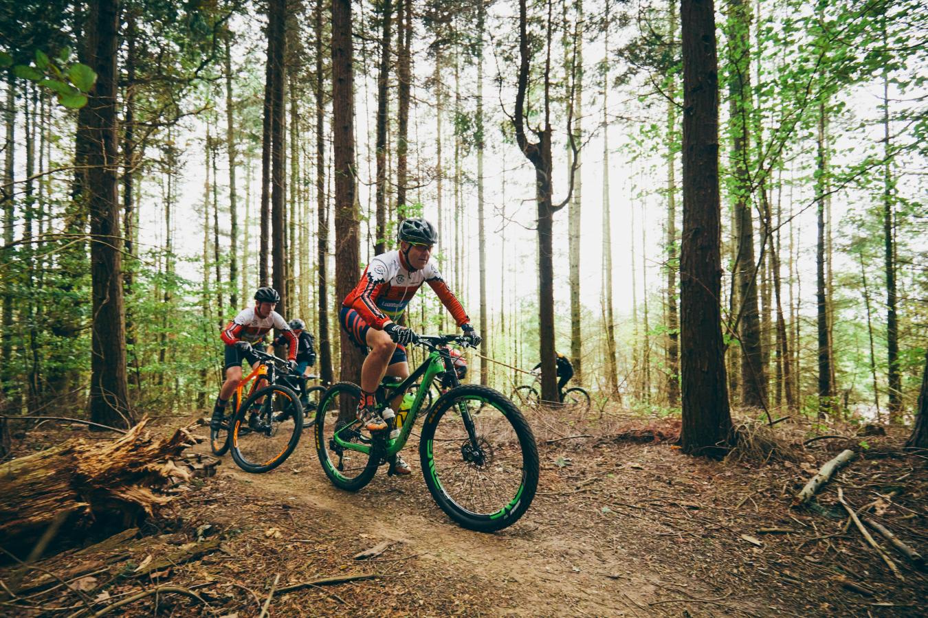 Mountainbike i Hannerup Skov