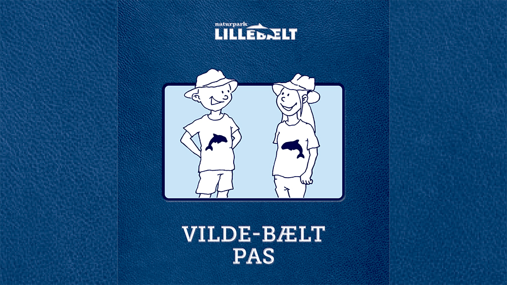 Vilde-Bælt pas