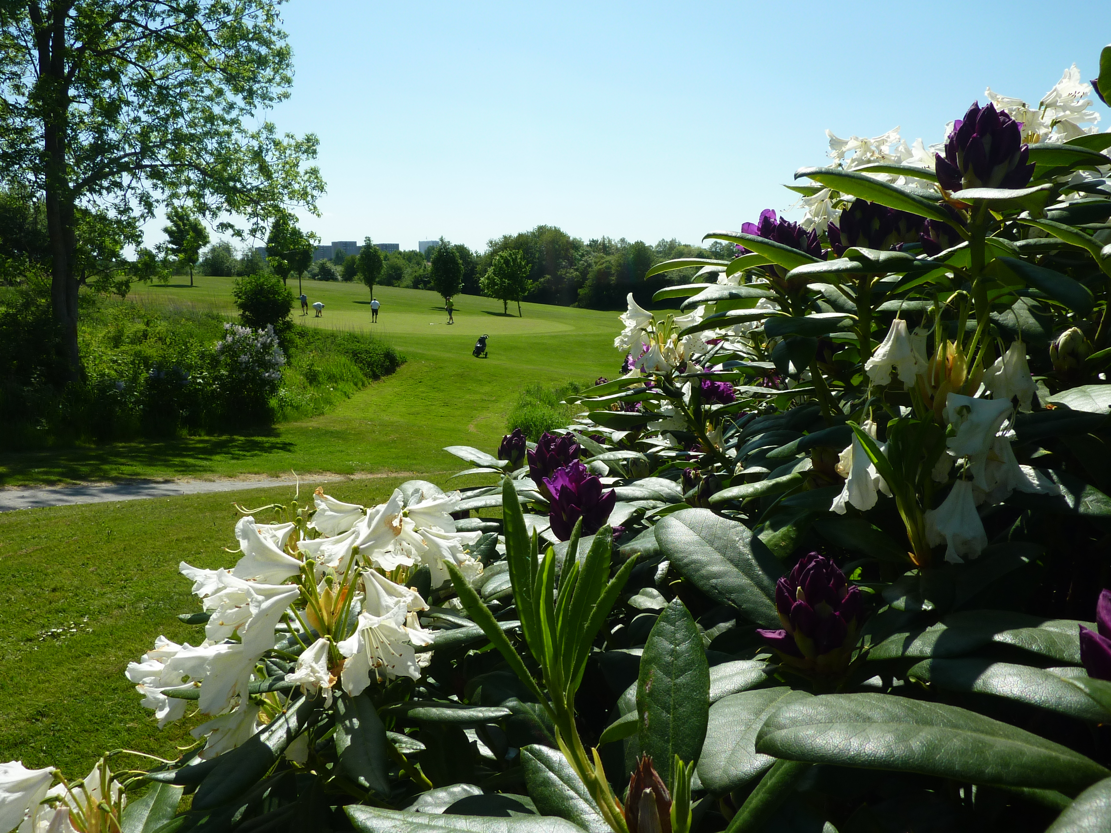 Fredericia Golf Club