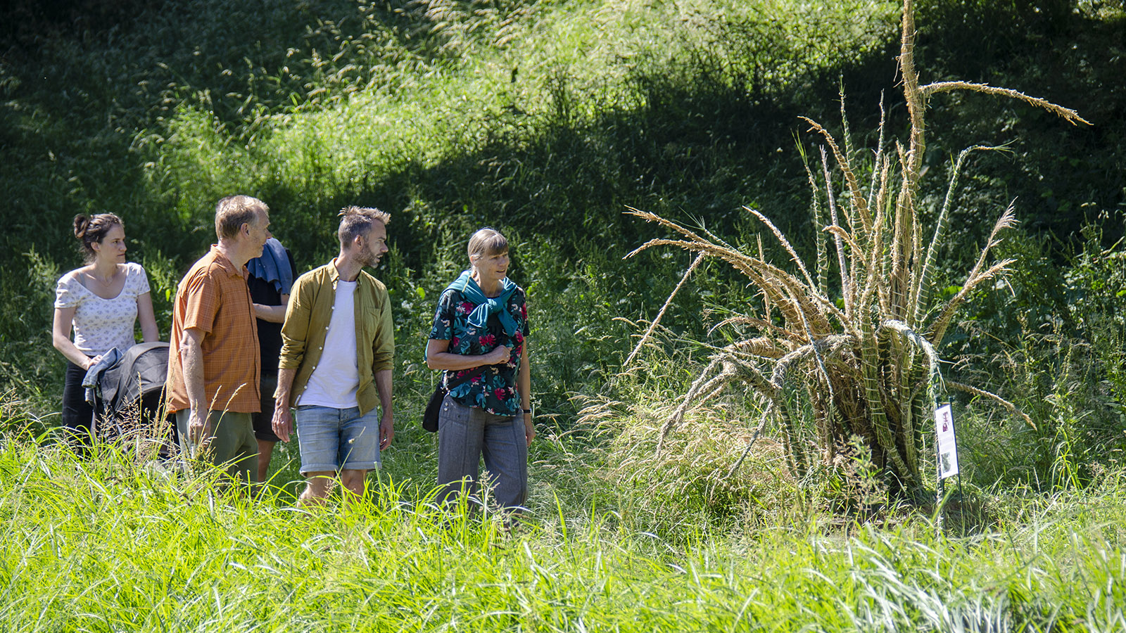 Tilskuere til 6. juli cup på Fredericia Vold