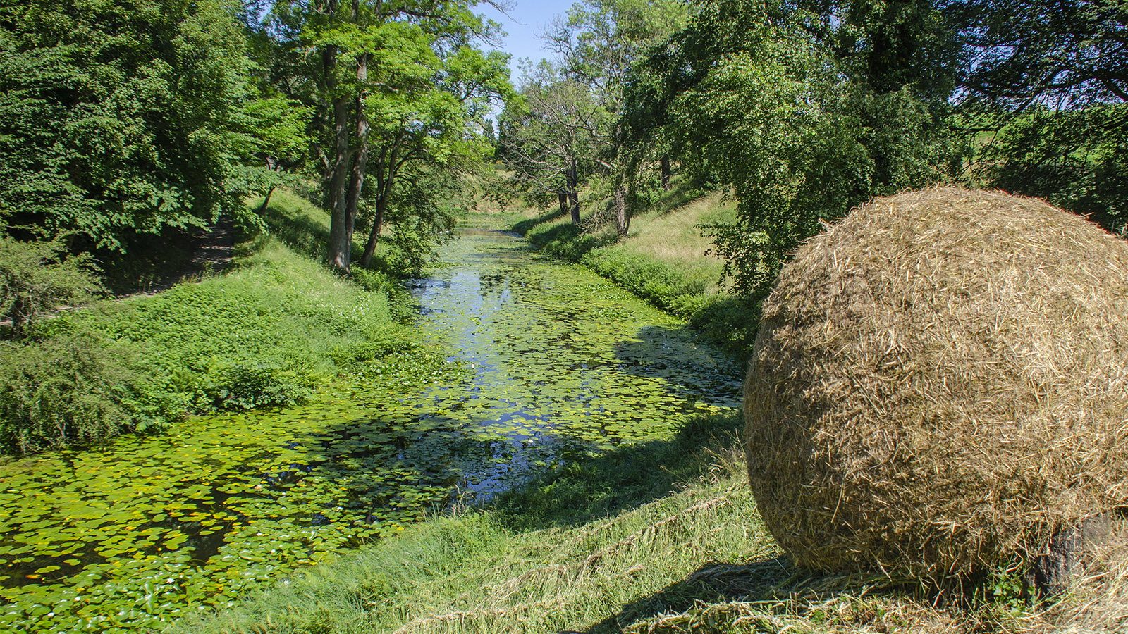 Volden til 6. juli cup
