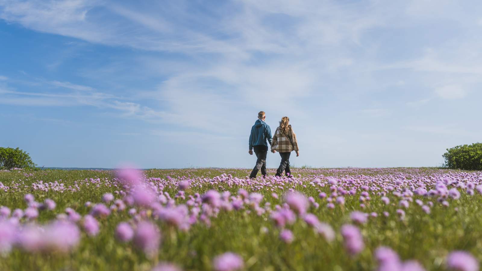 Udforsk Trelde Næs om foråret