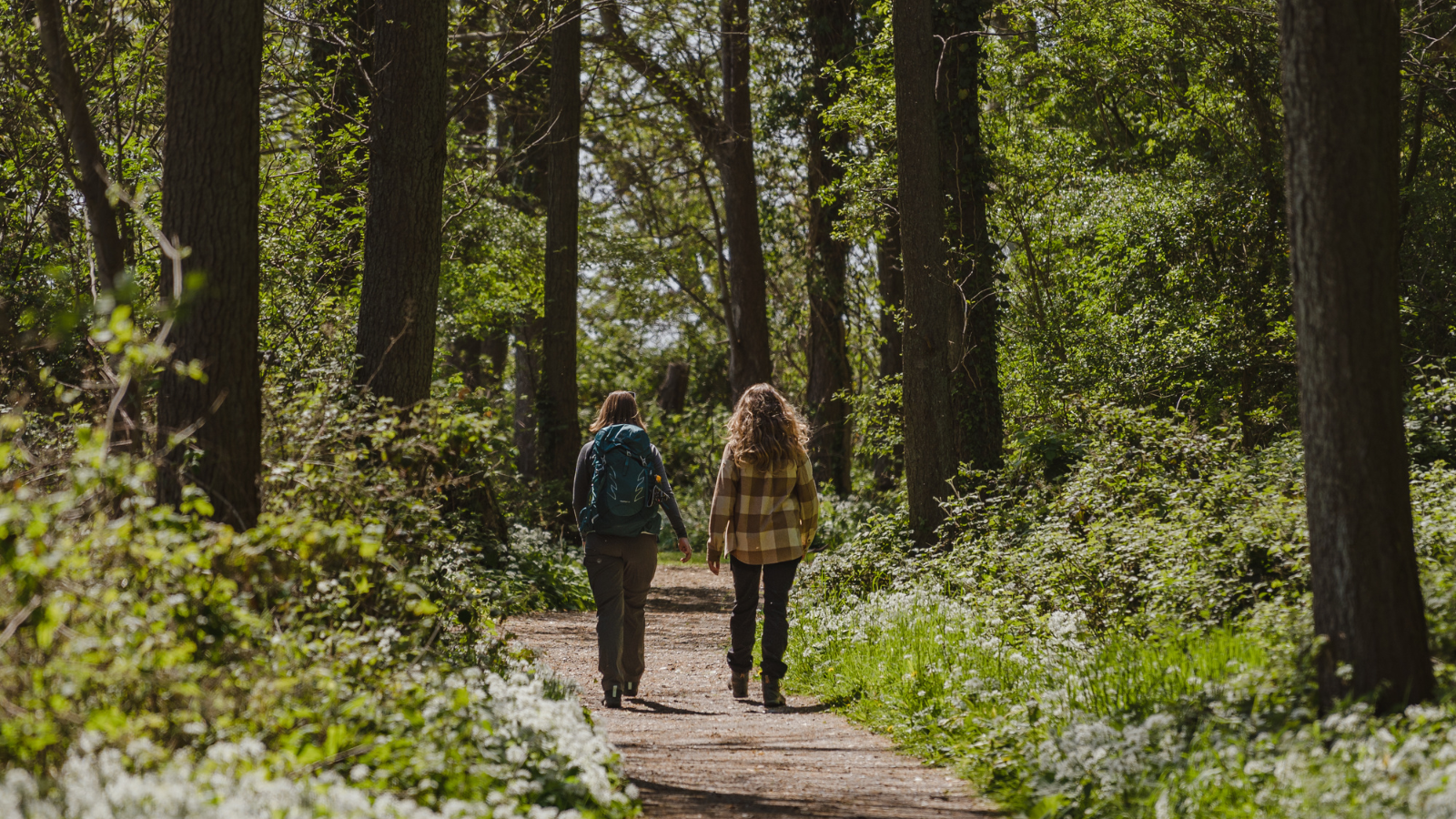 Nyd lange gåture i naturen