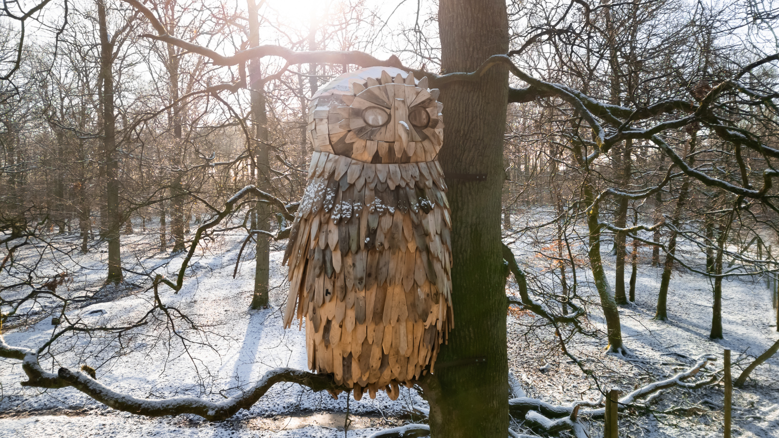 Træskulptur af ugle