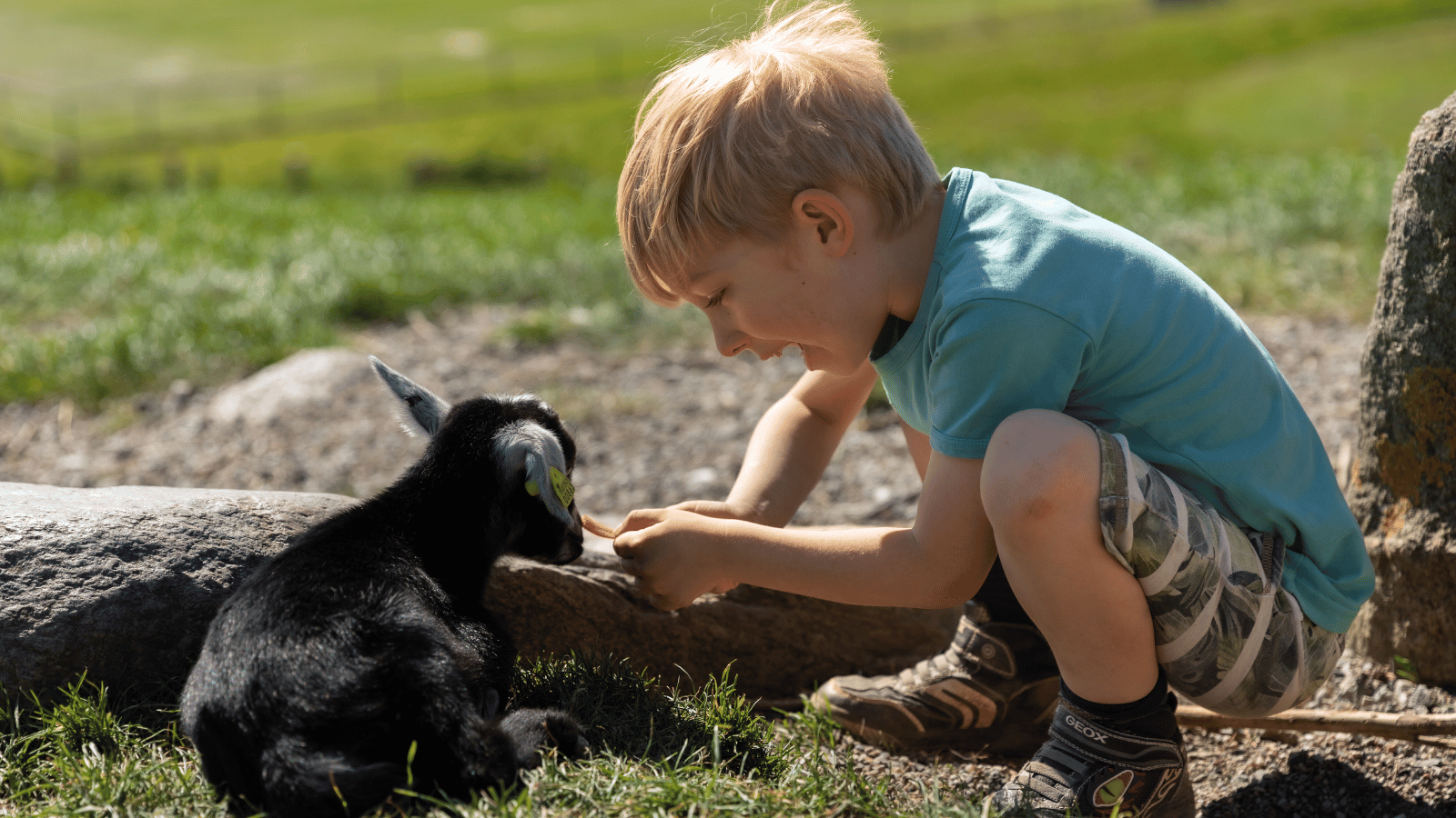 Børn og dyr i Madsby Legepark