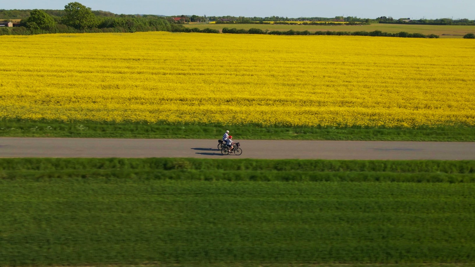 par cykler langs en rapsmark