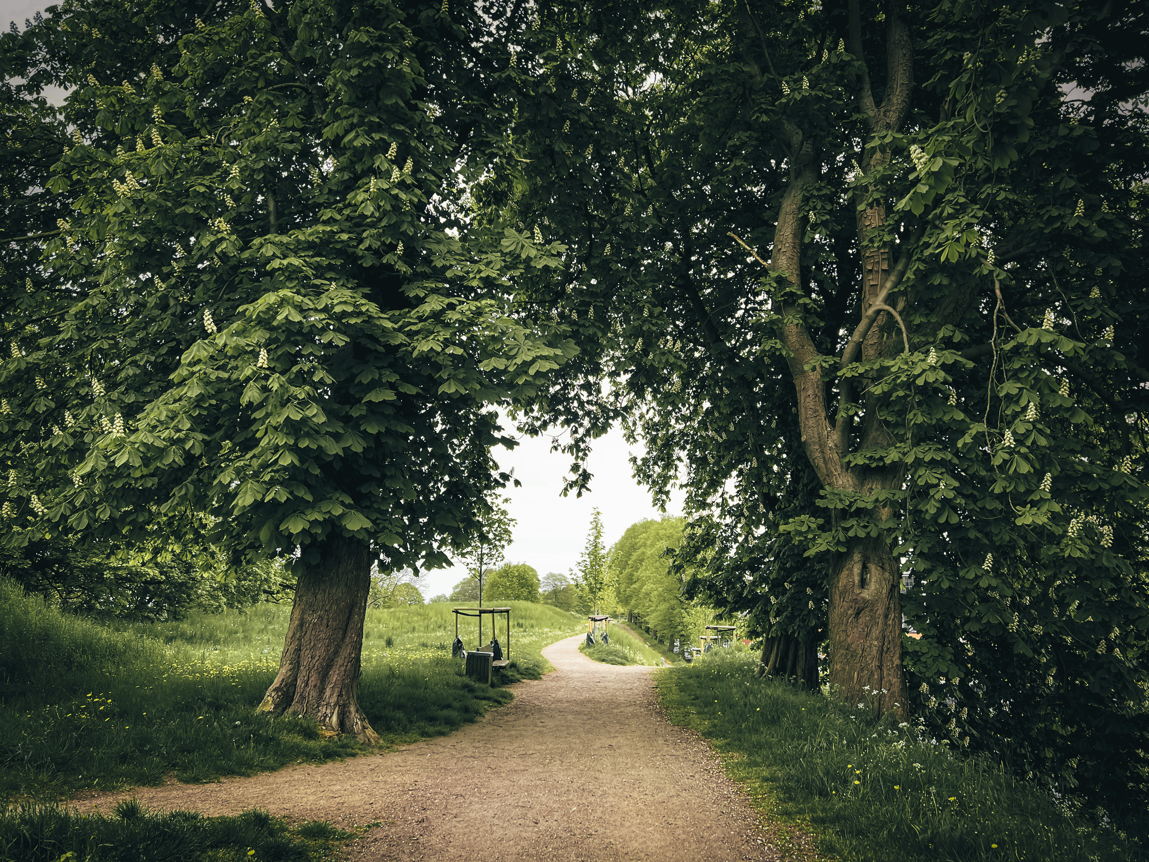 Sti på Fredericia Vold