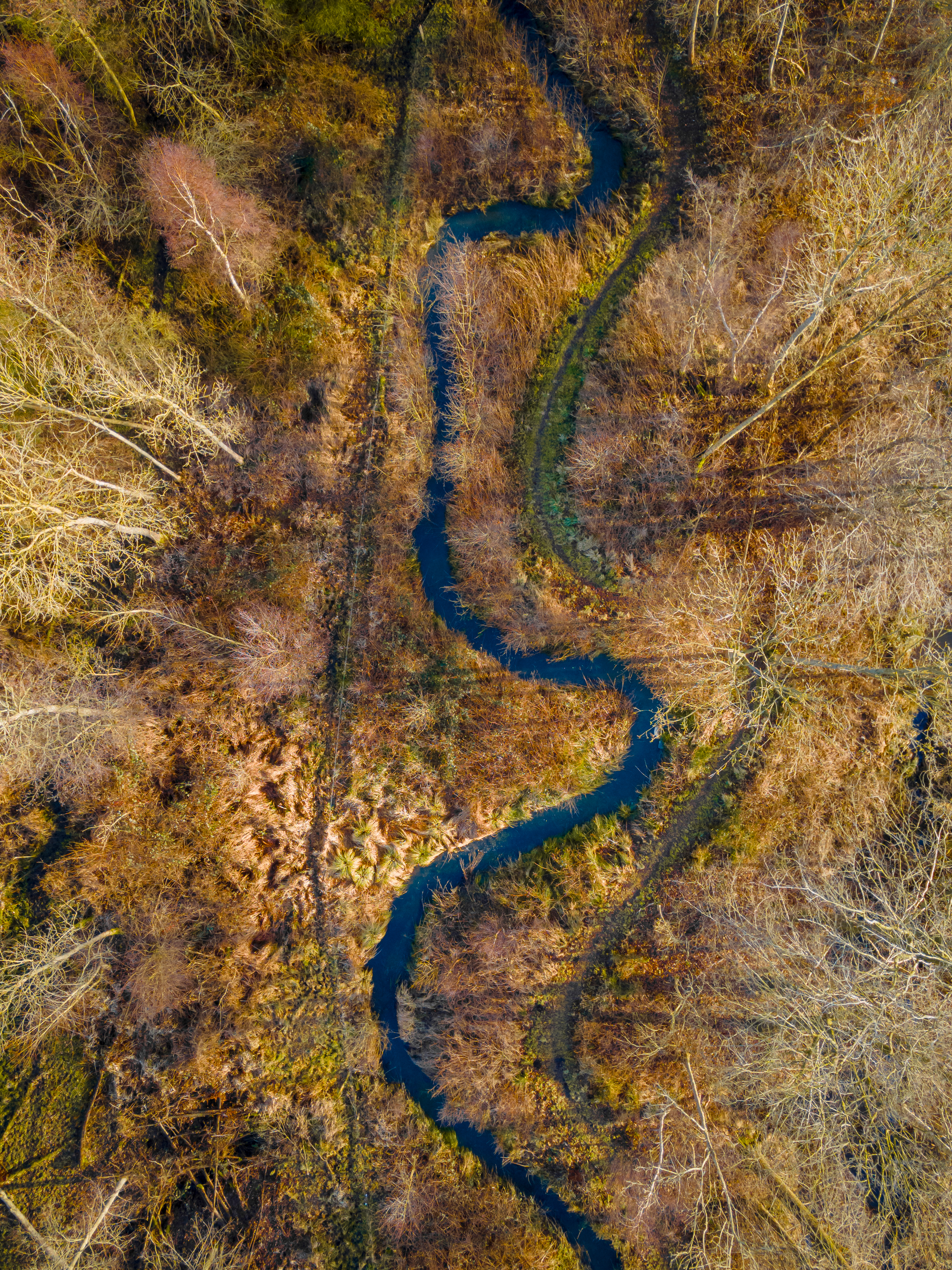 Fuglsang og Erritsø Mose