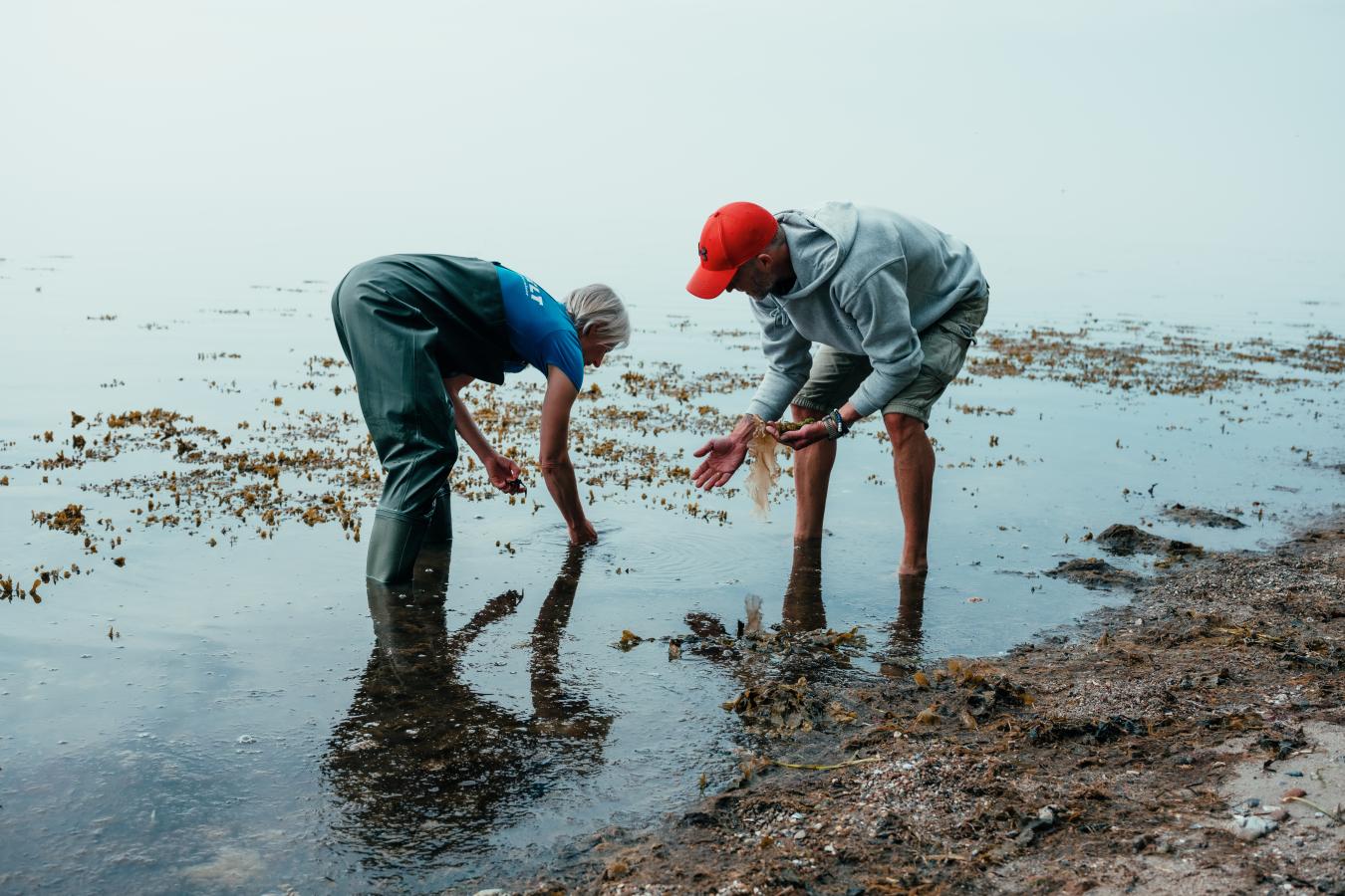 Tangsafari i Naturpark Lillebælt