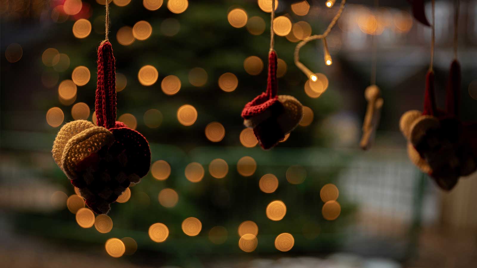 Kom på guidet tur denne jul