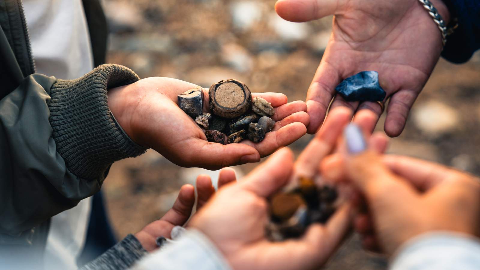 Tag på fossiljagt på stranden