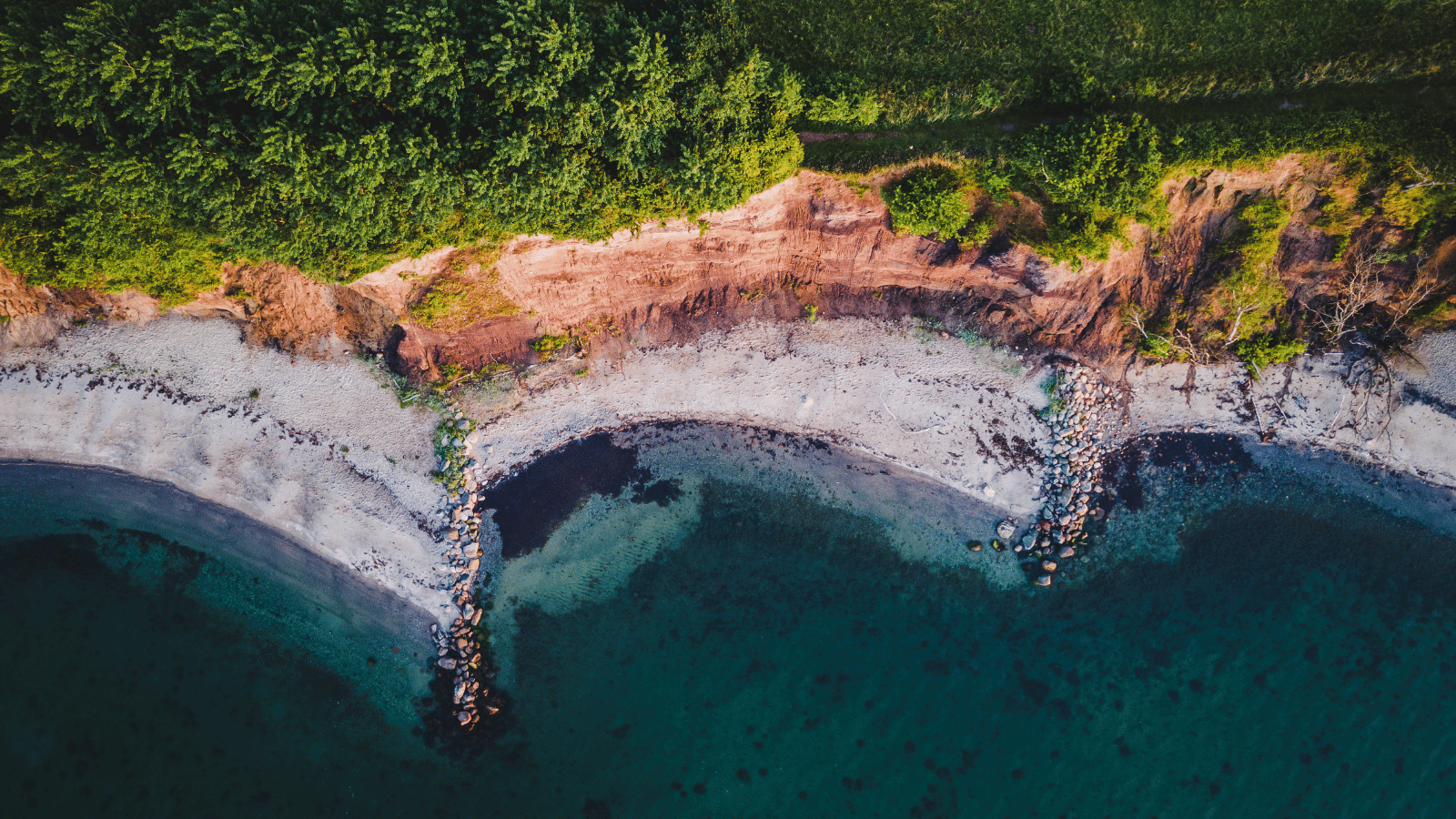 Oplev naturområdet Trelde Næs
