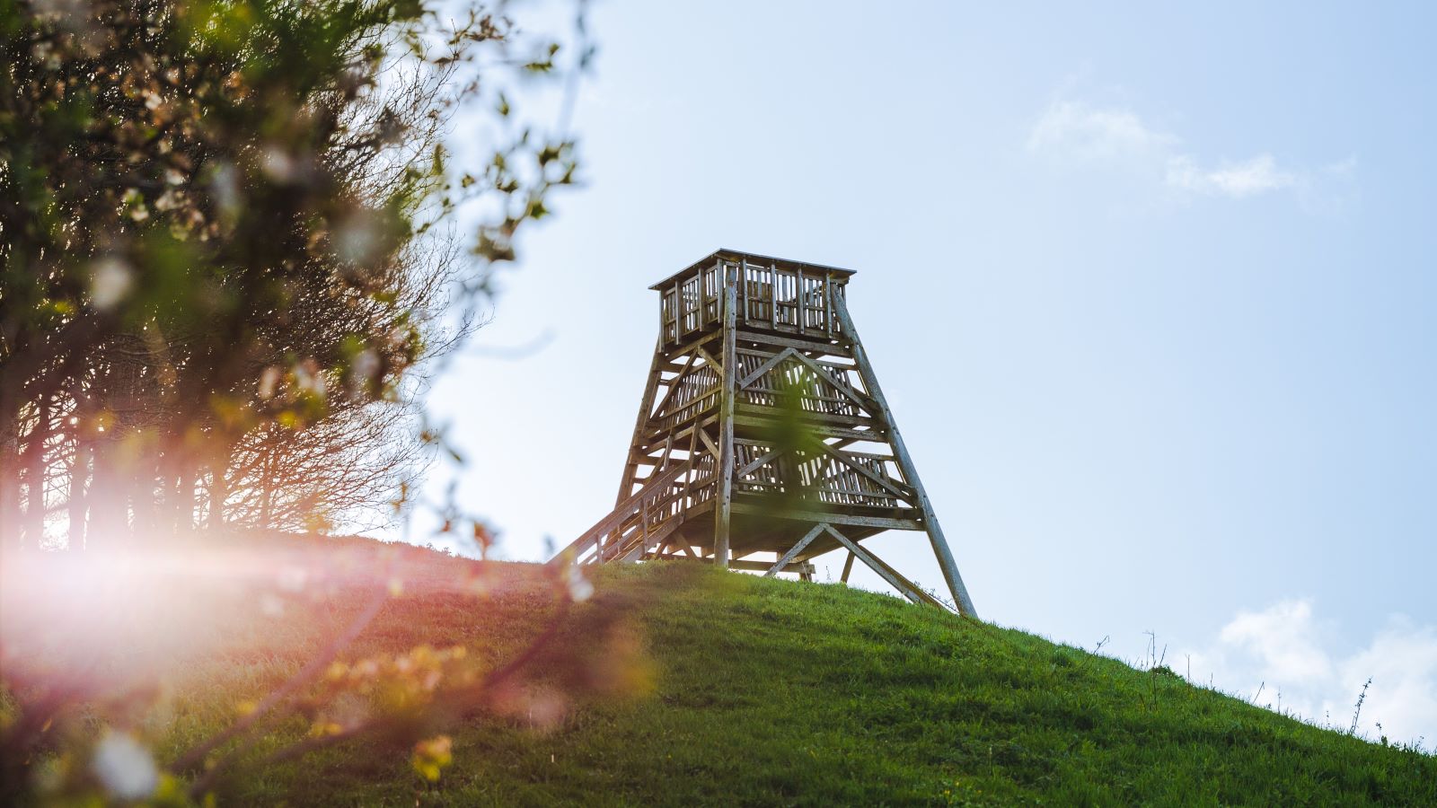 Udsigtstårn ved Randal skov og Nyskov