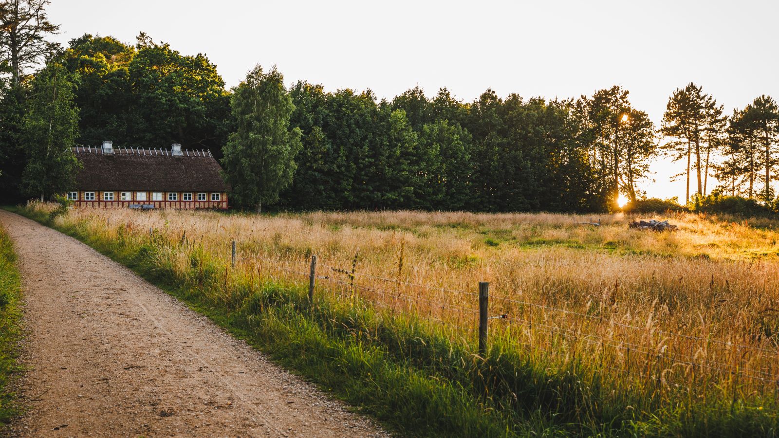 Trelde Næs i aftenssol