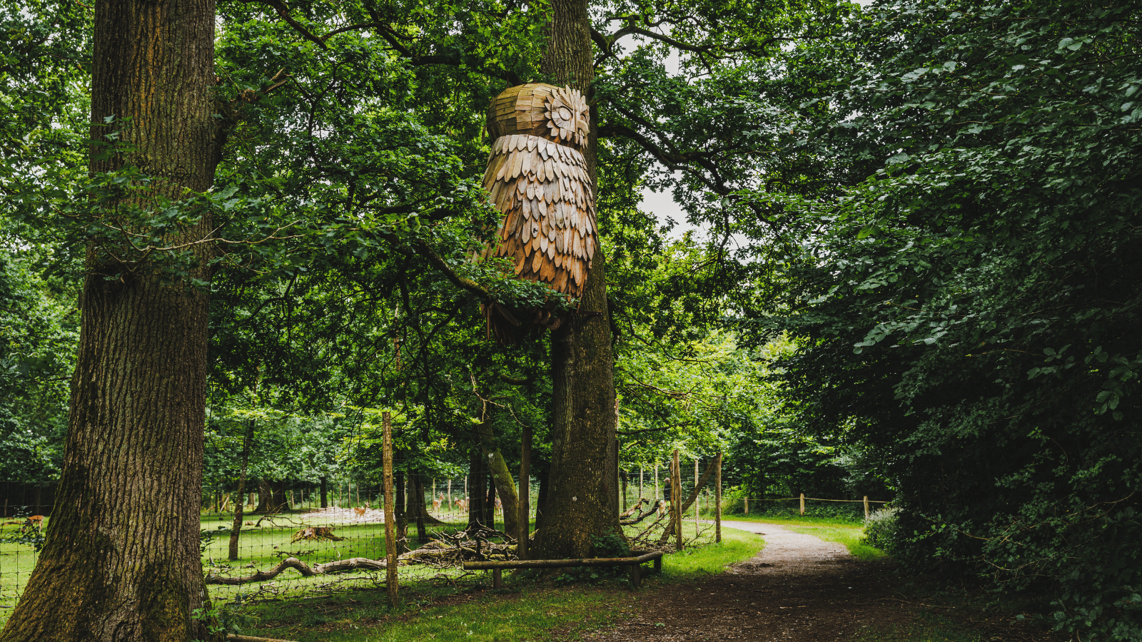 Find træskulpturer i skoven i Fredericia