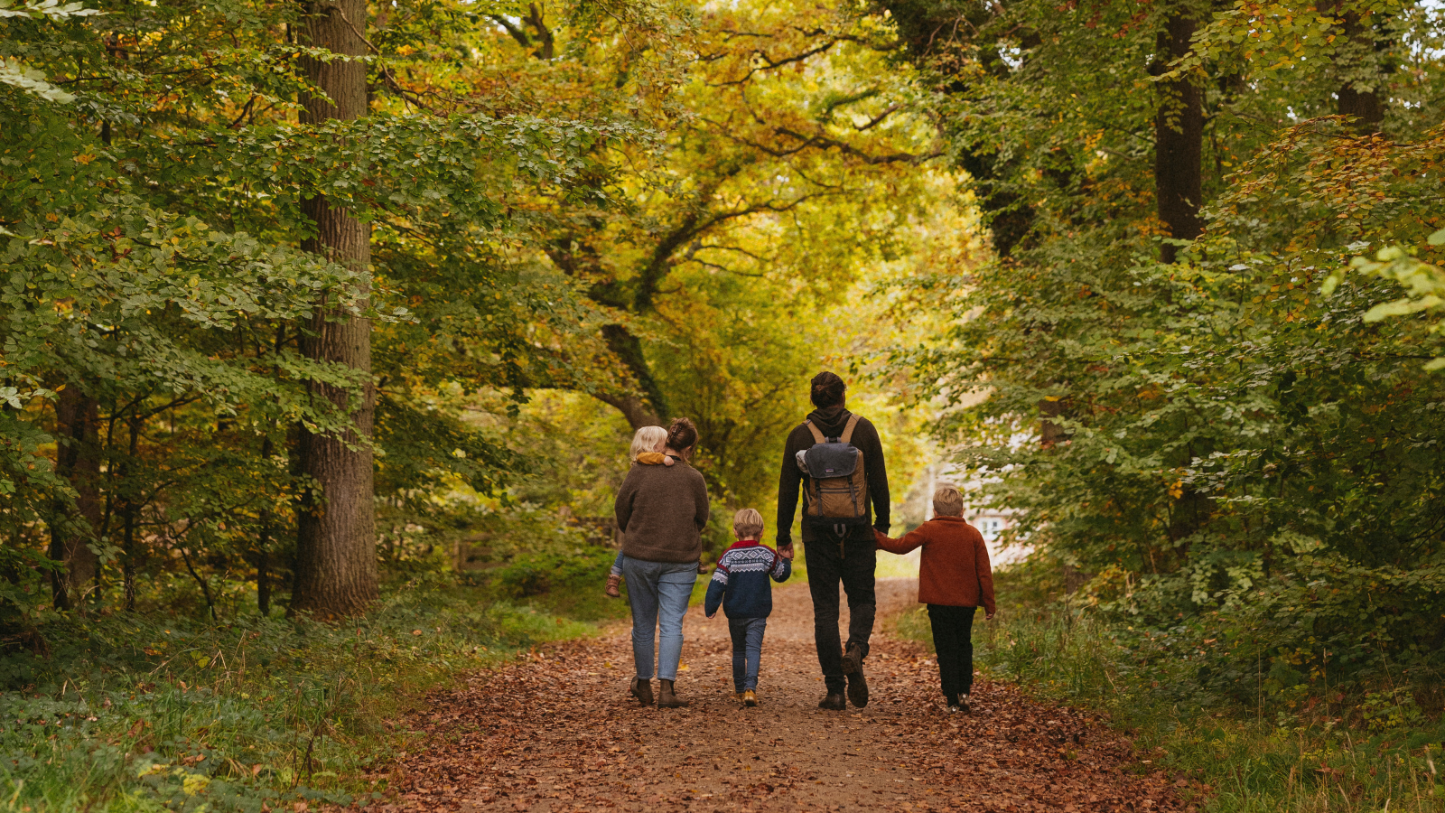Efterårshygge for hele familien i Trelde Næs skoven