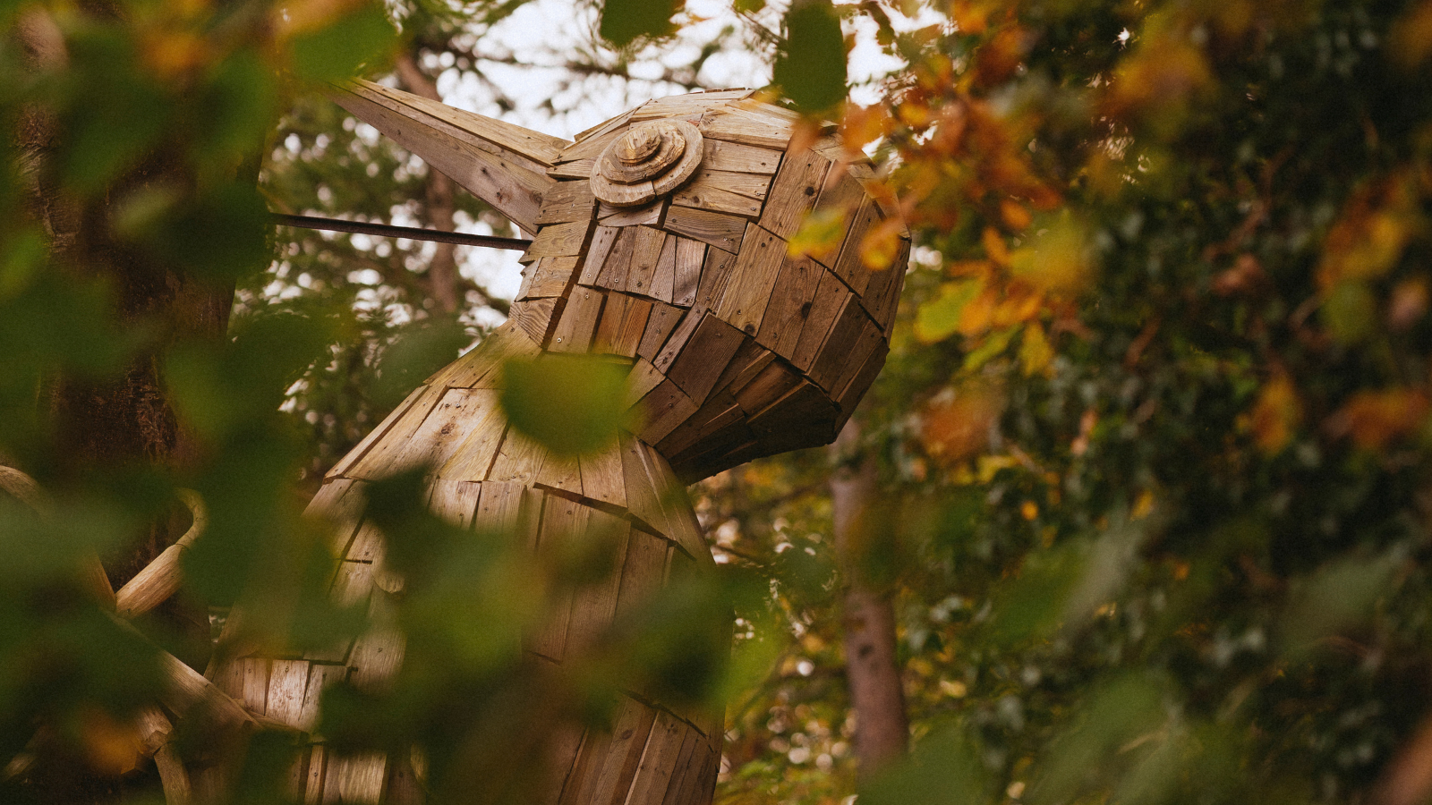 Spot træskulpturen i trætoppene ved Trelde Næs