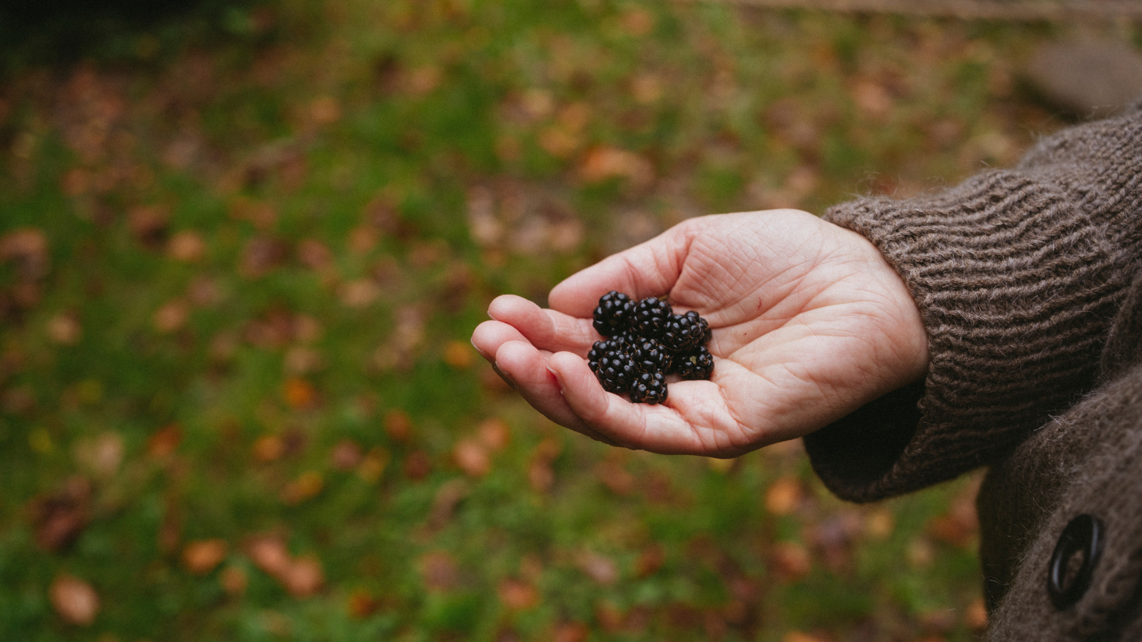 Sanketur i naturpark Lillebælt