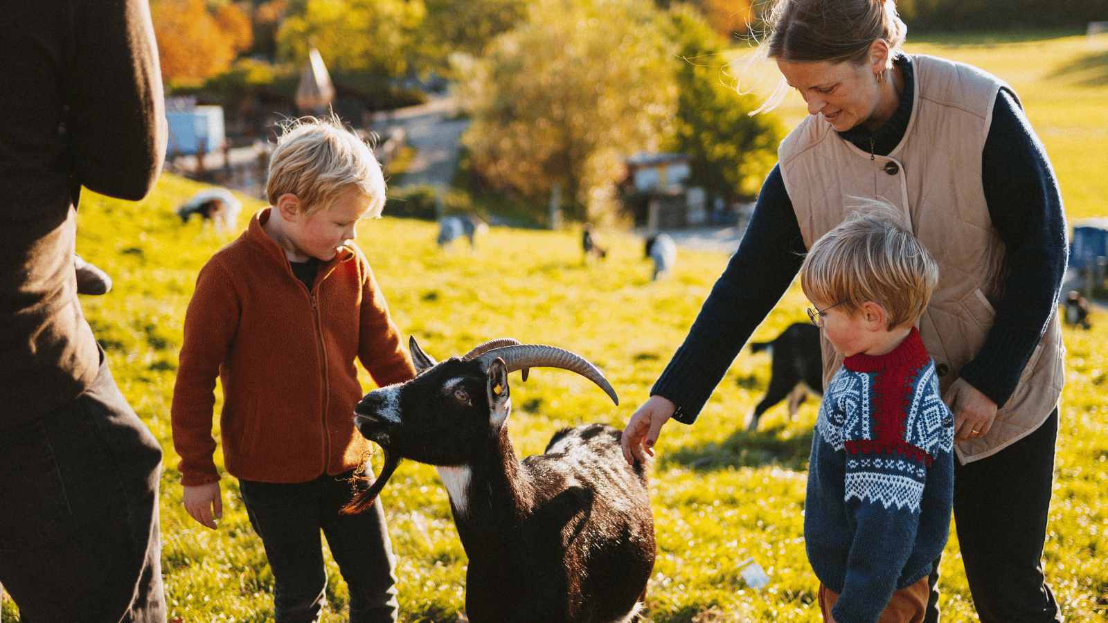 Oplev dyr i Madsby Legepark