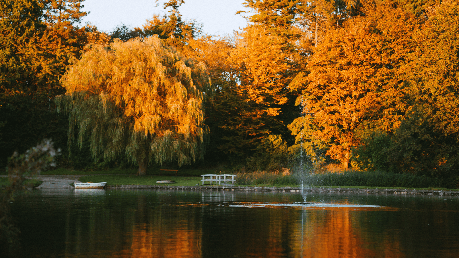 Natur ved Madsby Legepark