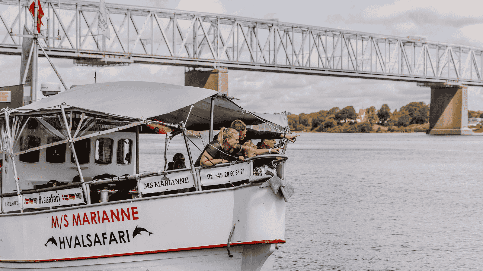 Hvalsafari på Lillebælt