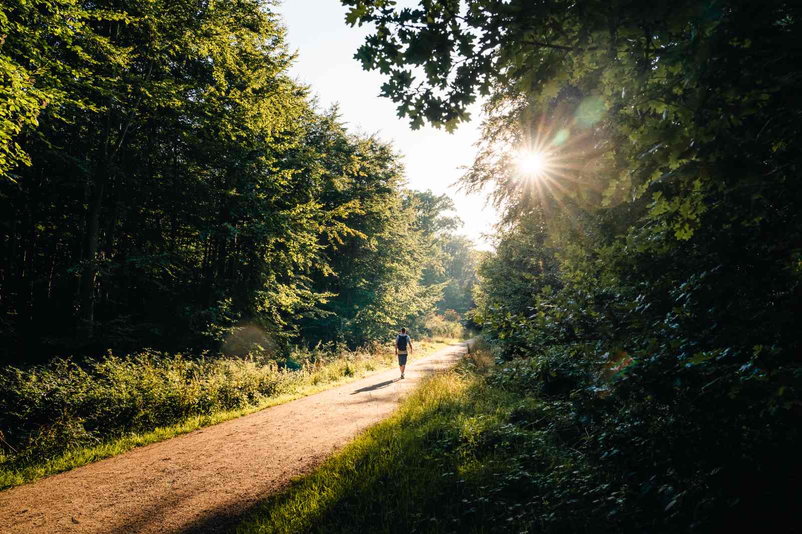 Mand på vandretur i naturen