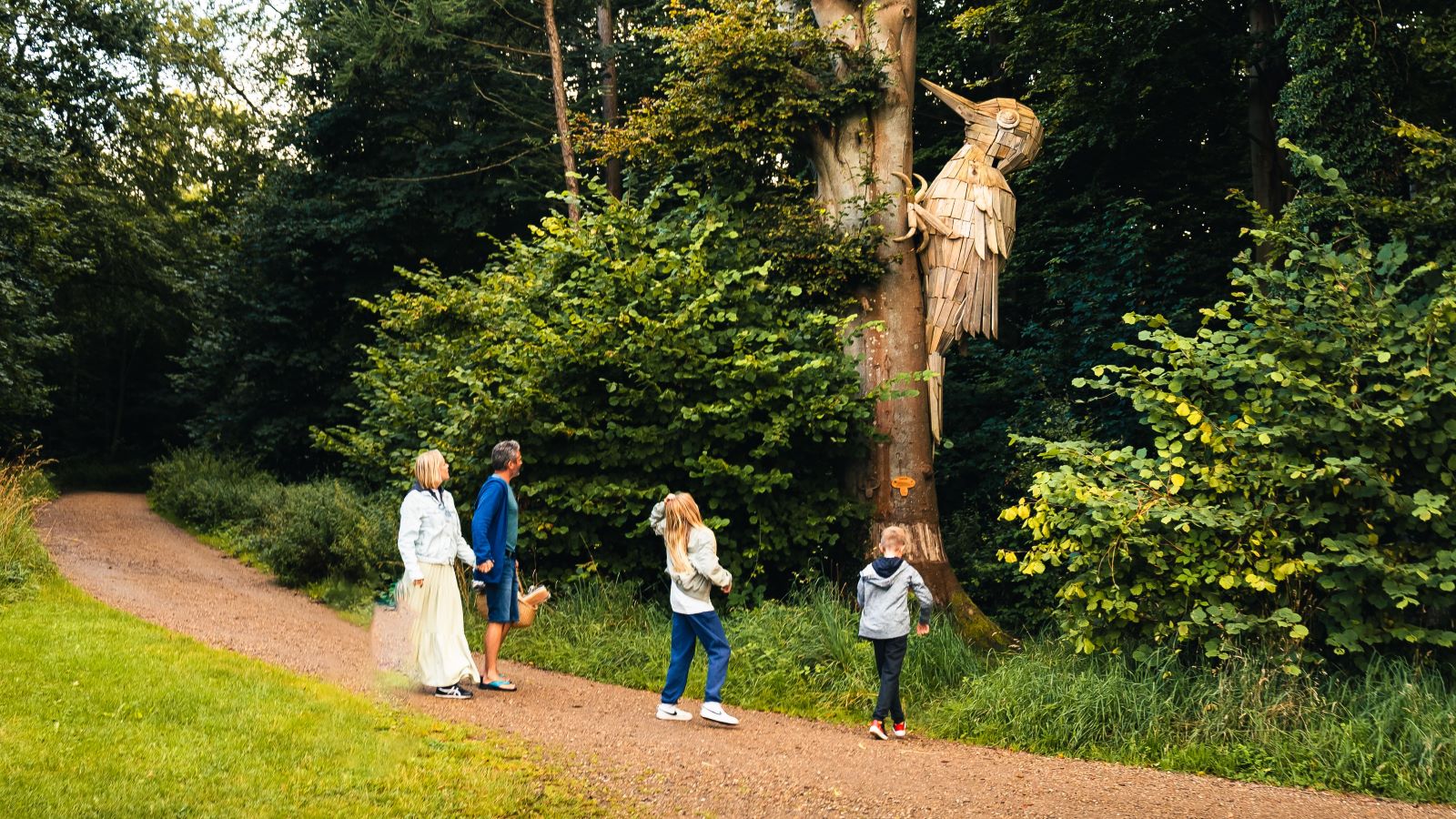 Oplev træspætten i skoven ved Trelde Næs