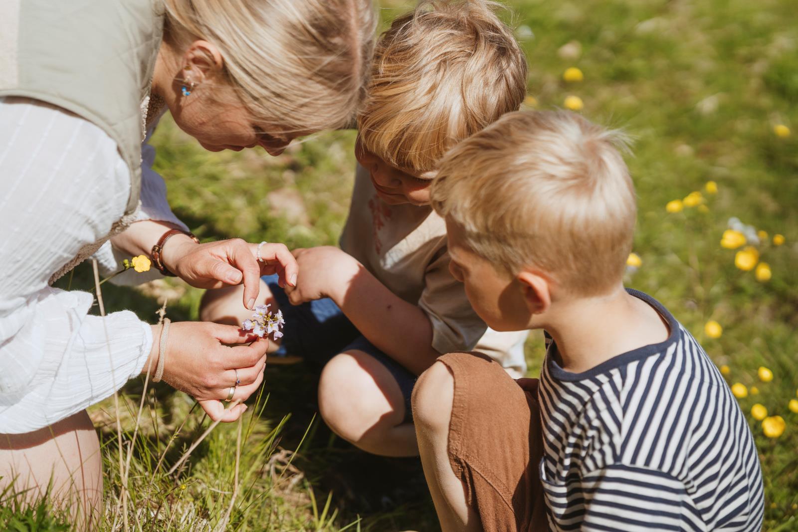 Mor og børn sidder og kigger på en blomst på en mark