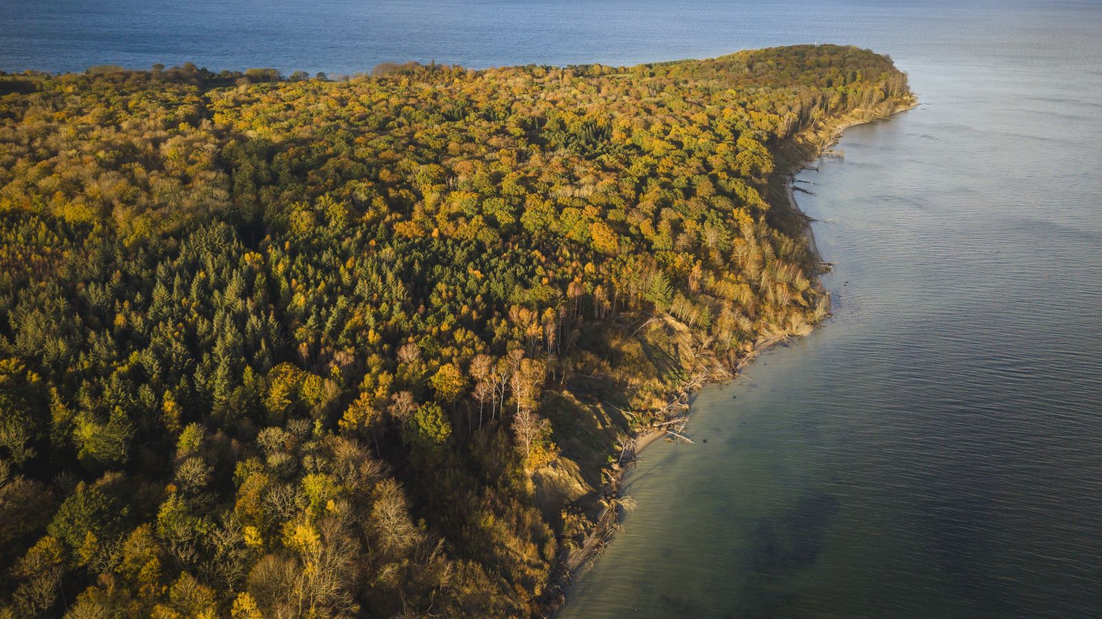 Trelde Næs i Fredericia om efteråret