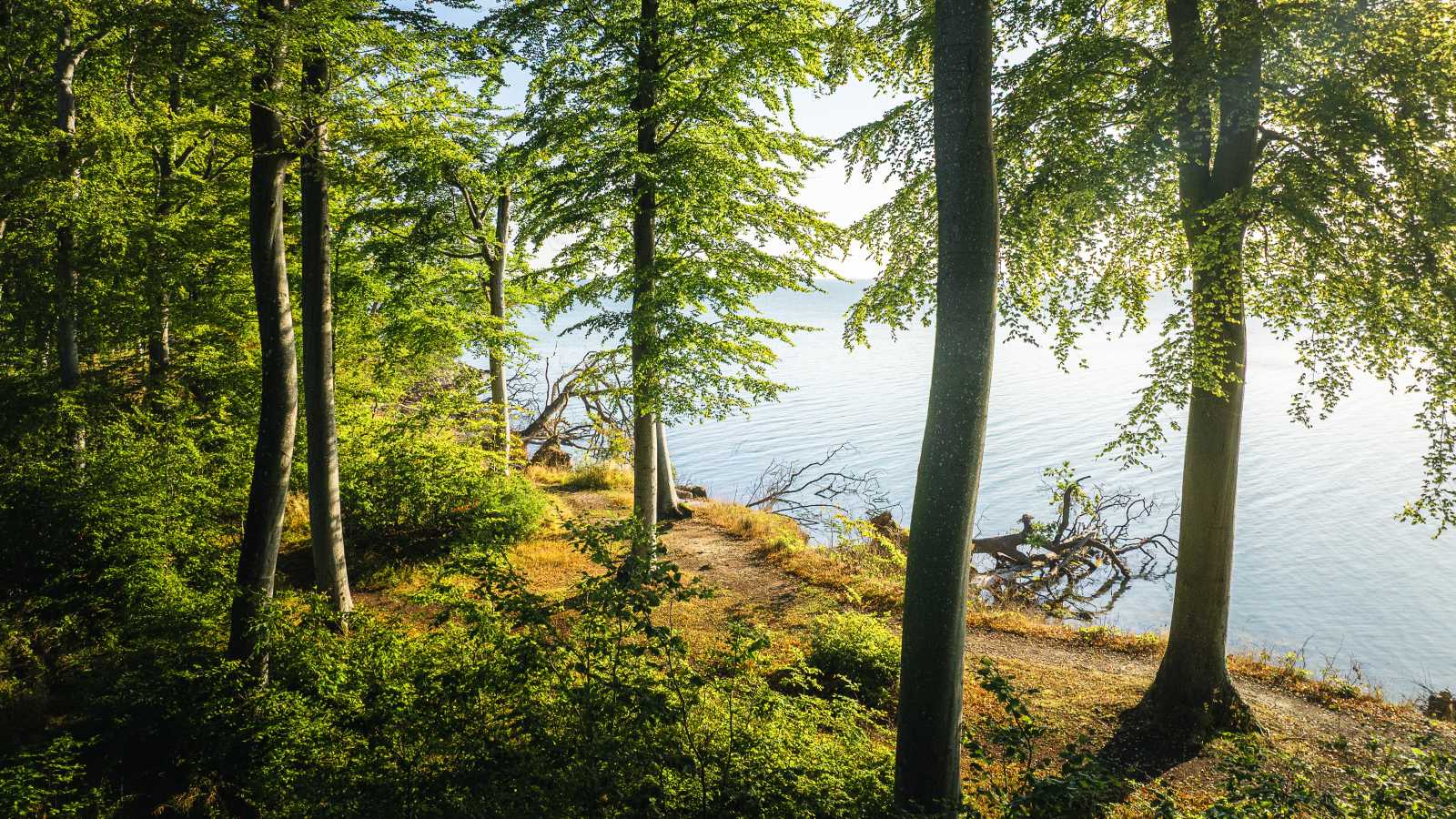 Oplev Trelde Næs på din cykelferie