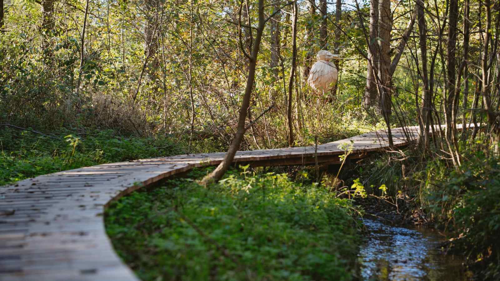 Boardwalk i Erritsø Mose. I baggrunden ses træskulpturen isfuglen